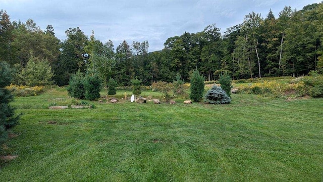 view of yard featuring a view of trees