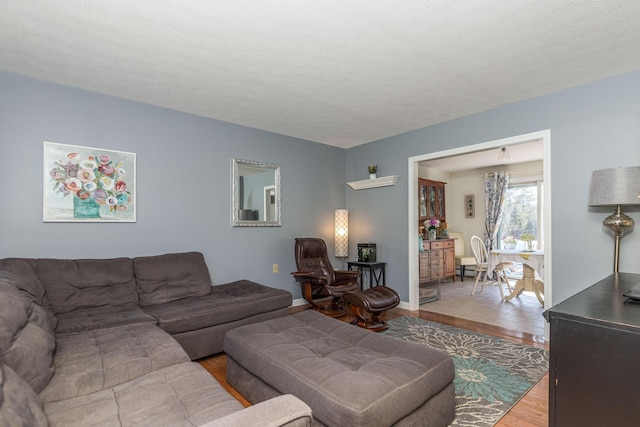 living area featuring wood finished floors
