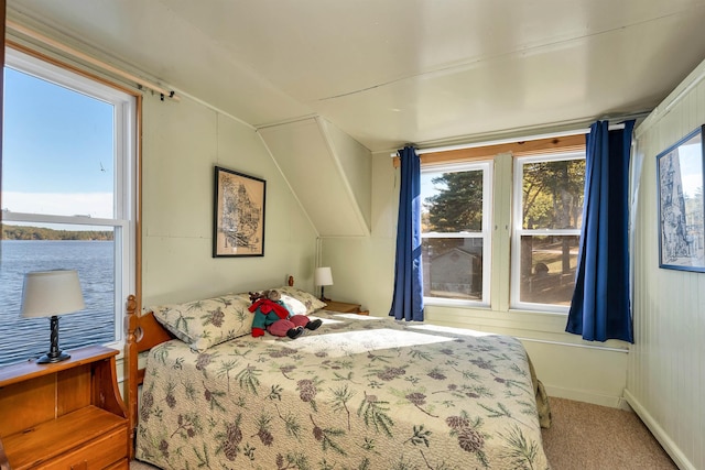 carpeted bedroom featuring lofted ceiling and multiple windows