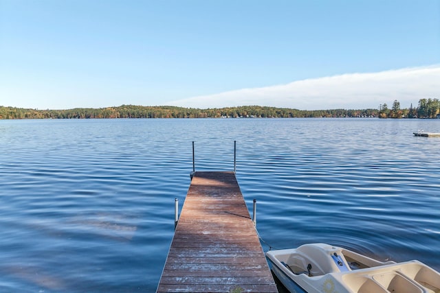 view of dock with a water view
