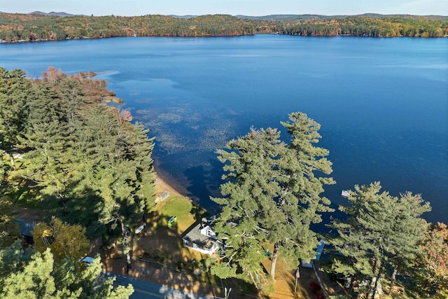 birds eye view of property with a water view and a view of trees
