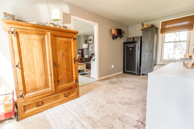 interior space with light colored carpet