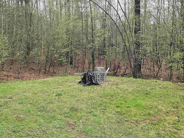 view of yard featuring a view of trees