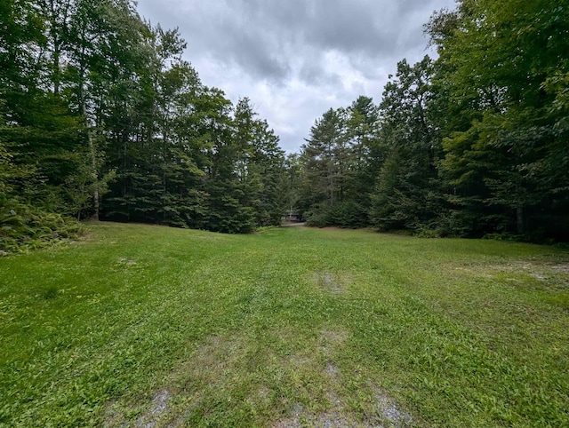 view of yard with a view of trees