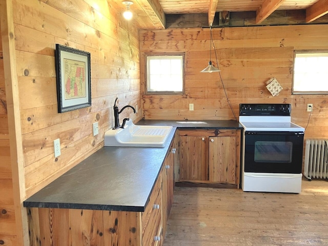 kitchen with a sink, radiator, range with electric stovetop, and wood walls