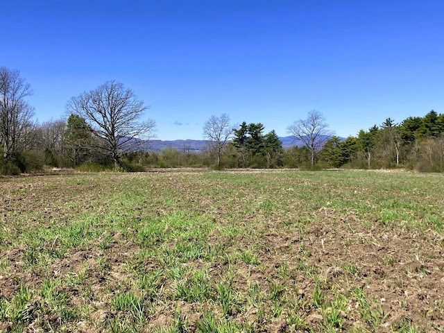 view of yard featuring a rural view