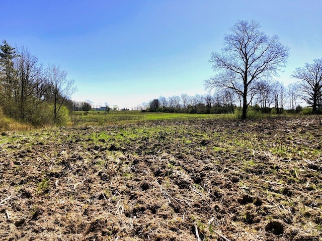 view of nature featuring a rural view