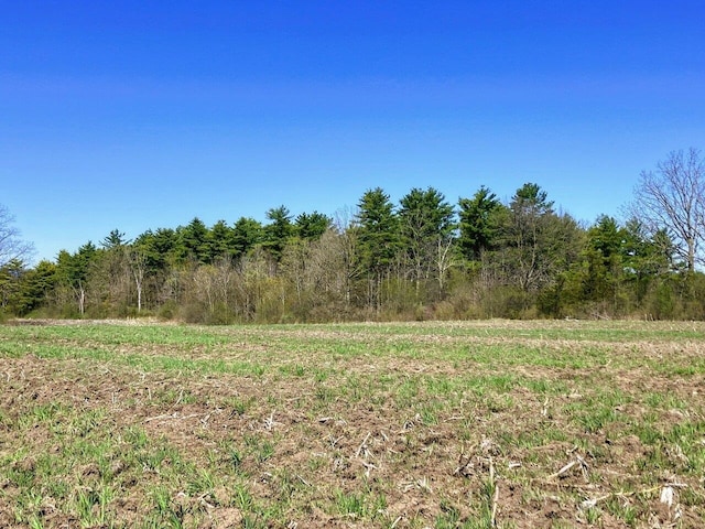 view of nature with a rural view and a wooded view