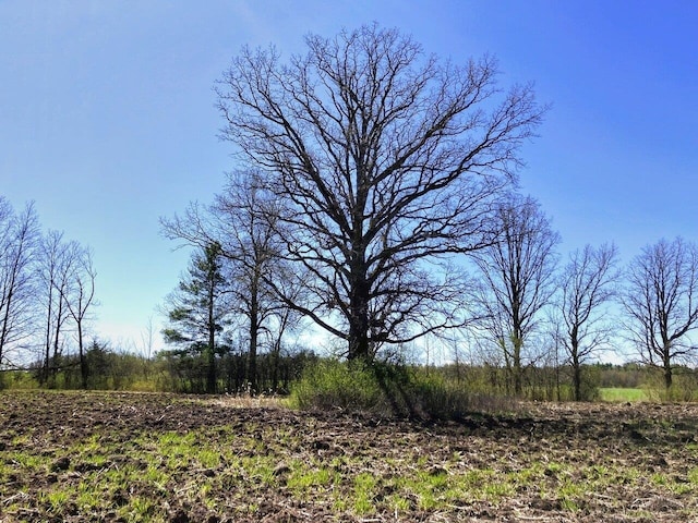 view of nature