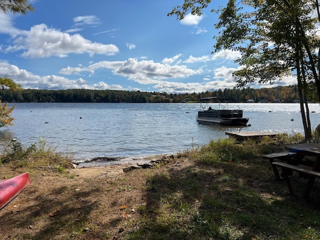 property view of water with a view of trees and a floating dock