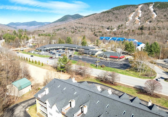 birds eye view of property featuring a mountain view