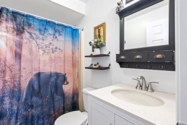 full bathroom featuring vanity, toilet, and a shower with curtain