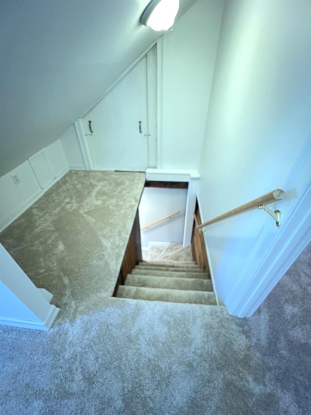 staircase featuring carpet
