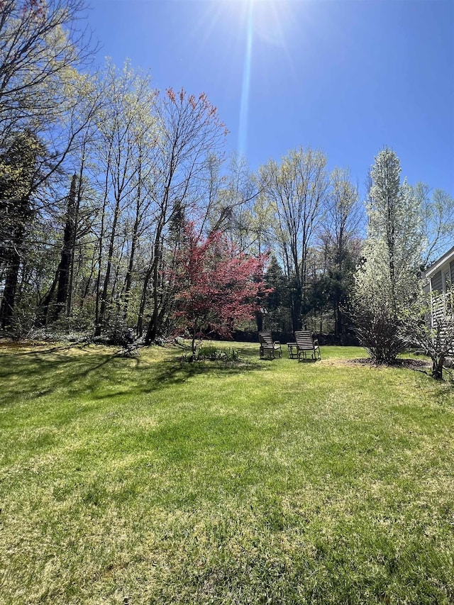 view of yard