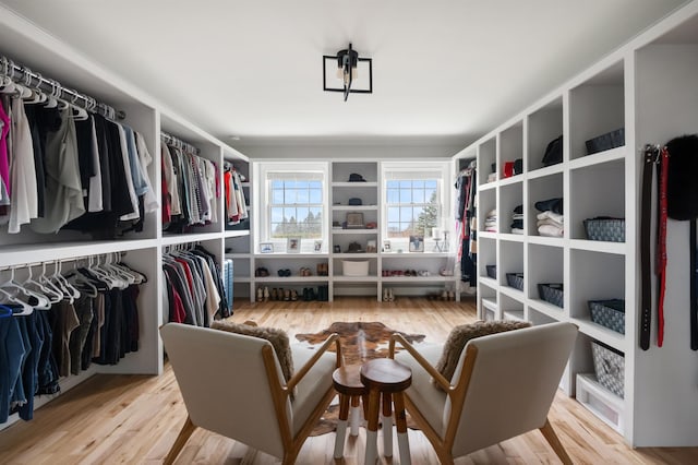 spacious closet featuring wood finished floors