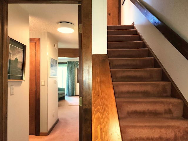 stairway featuring carpet flooring