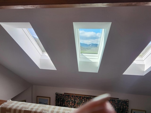 room details featuring a skylight