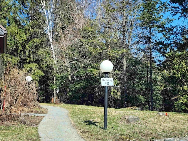 view of property's community featuring a lawn