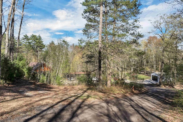 view of road featuring driveway and a wooded view