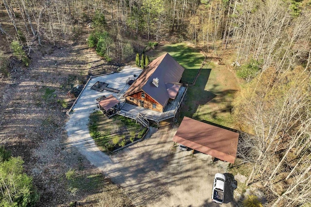 bird's eye view
