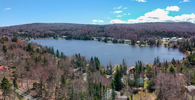 water view with a forest view