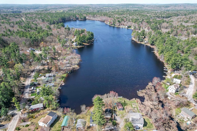 birds eye view of property featuring a water view and a wooded view