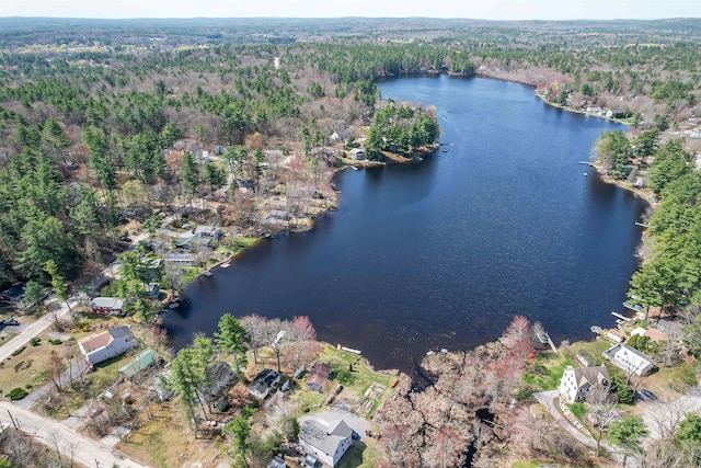 bird's eye view featuring a water view and a forest view
