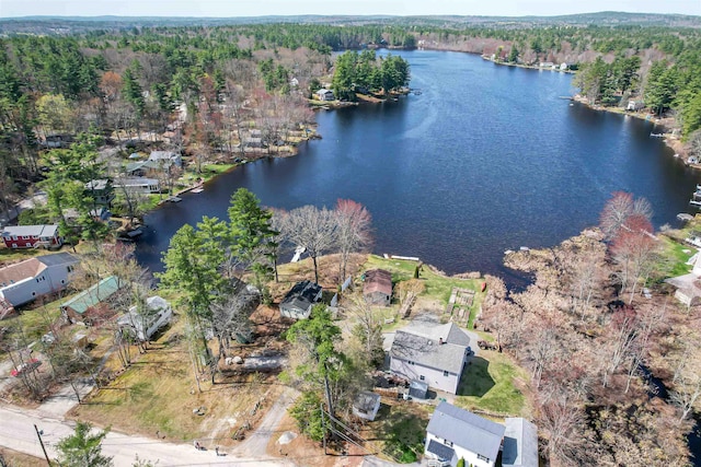 aerial view with a water view and a view of trees