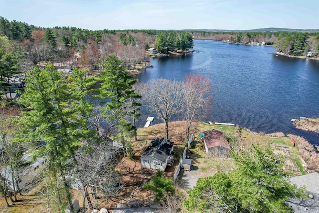 drone / aerial view with a water view and a forest view