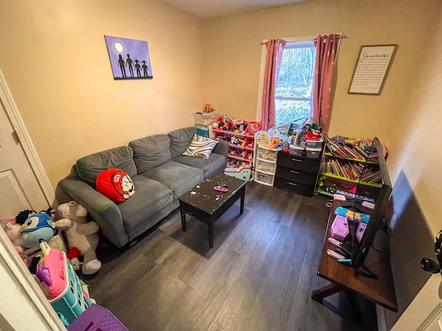 living area featuring dark wood-style floors