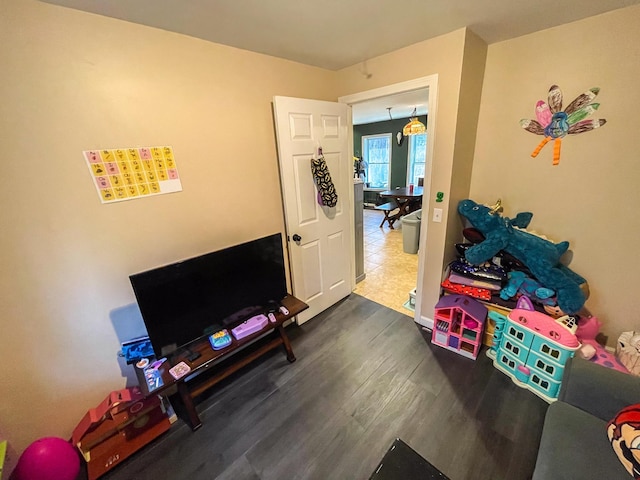recreation room featuring wood finished floors
