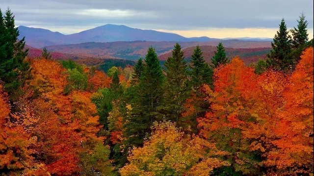 property view of mountains featuring a forest view