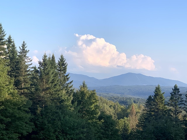 view of mountain feature featuring a wooded view