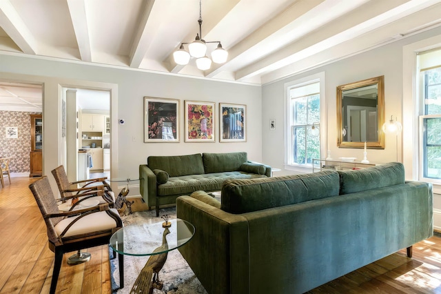 living area featuring beamed ceiling, a wealth of natural light, and wood finished floors