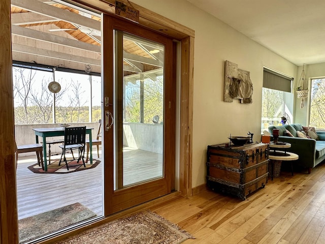 entryway featuring wood-type flooring