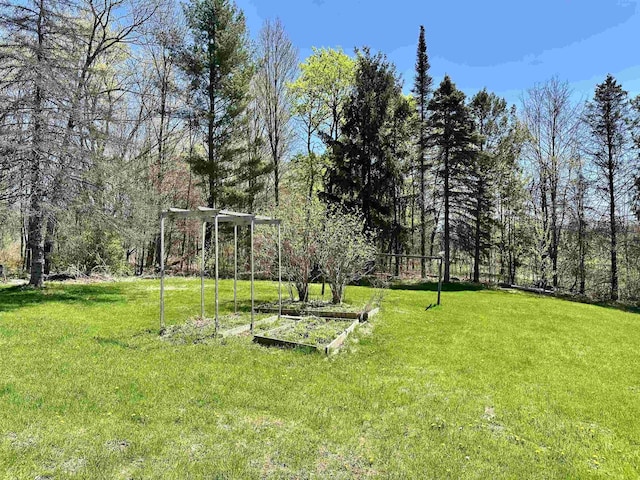 view of yard featuring a vegetable garden