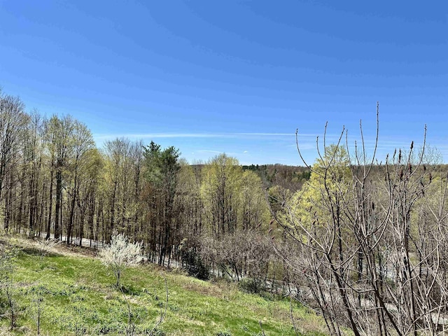 view of local wilderness with a wooded view