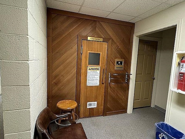 interior space featuring wood walls and carpet