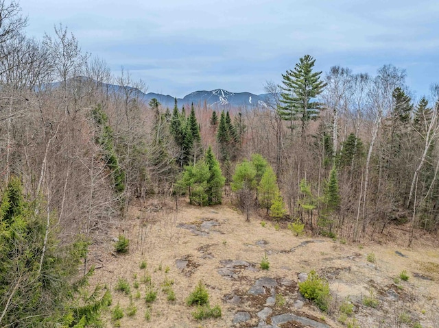 view of mountain feature with a view of trees