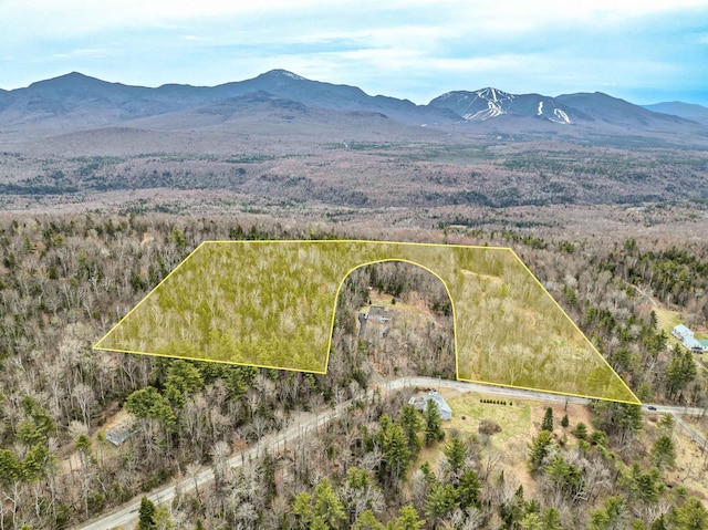 drone / aerial view with a mountain view