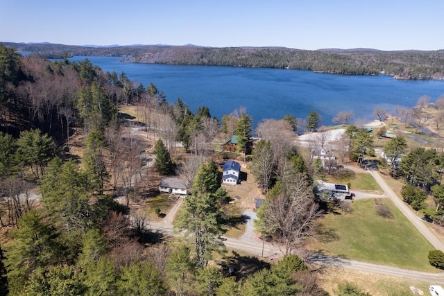 drone / aerial view with a water view and a view of trees