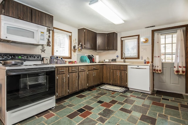 kitchen featuring visible vents, dark brown cabinets, a sink, light countertops, and white appliances