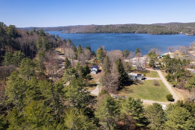 drone / aerial view with a water view and a wooded view