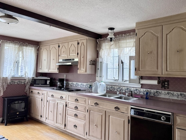 kitchen featuring under cabinet range hood, stainless steel microwave, plenty of natural light, and black dishwasher