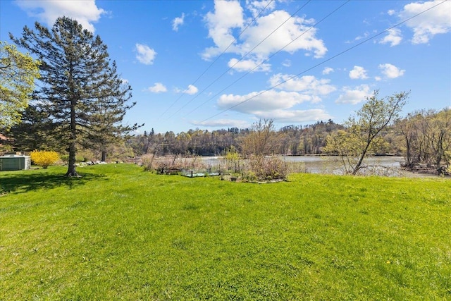 view of yard with a water view