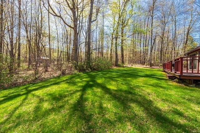 view of yard featuring a wooden deck