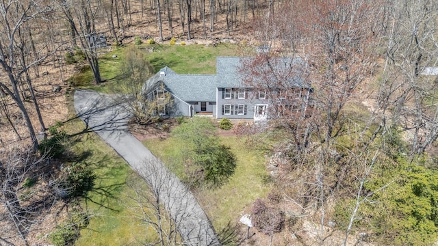 drone / aerial view