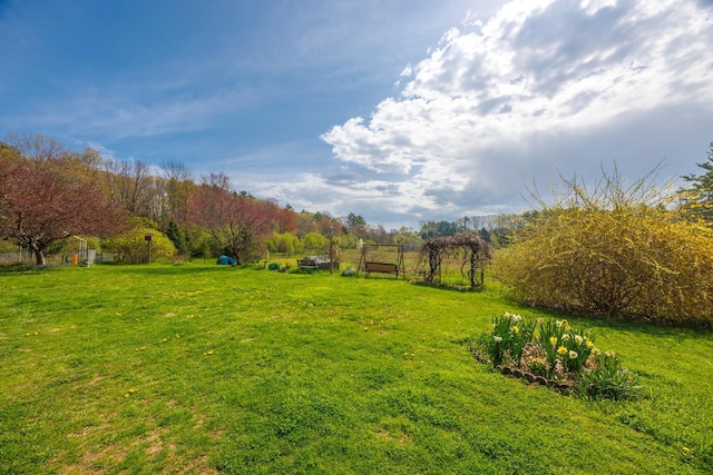 view of yard