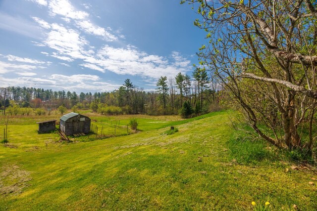 view of yard featuring an outbuilding