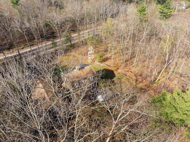view of local wilderness